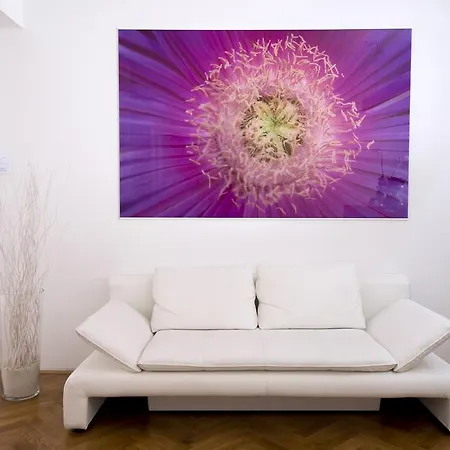 Gæstehus Galeria River Ljubljana