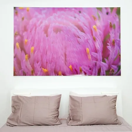 Galeria River Gæstehus