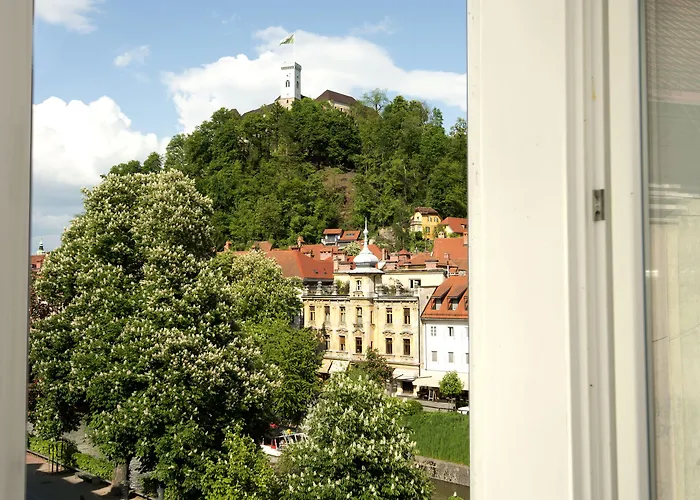 غاليريا ريفير